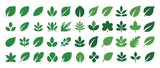 Various green botanical leaf icons for eco friendly design. vector illustration eps 10 © MdSamsul