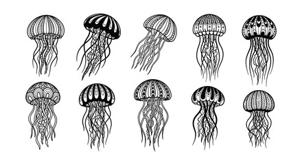 Intricate black and white illustration of various jellyfish designs © nurjahan