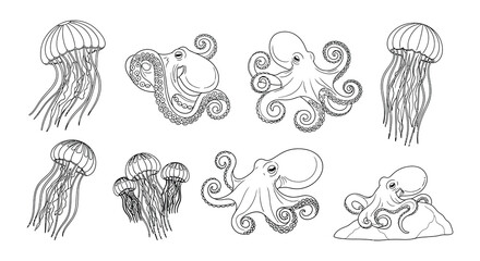 Line art illustration of jellyfish and octopuses in a marine setting © nurjahan
