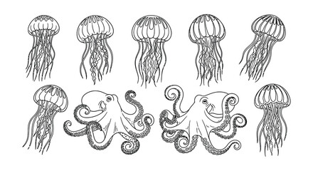Line art illustration of jellyfish and octopuses in a marine setting © nurjahan