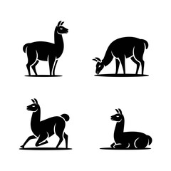Fototapeta premium This image features four black llama silhouettes captured in various natural poses