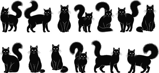 Black cat silhouettes collection in various poses, cute cartoon feline characters set isolated on white background, Halloween vector illustration bundle for decoration and design © Jamayat