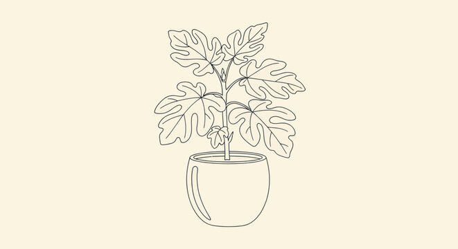 Potted Plant with Large Leaves Illustration.