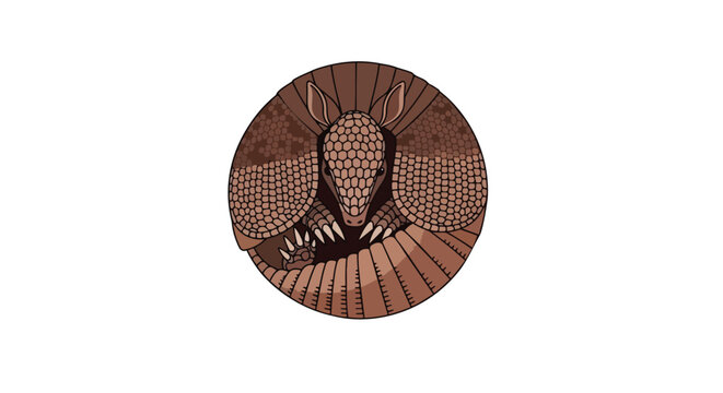 A charming, stylized illustration of an armadillo curled into a protective ball shape, showcasing its segmented armor and sharp claws, perfect for