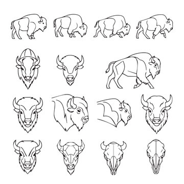 Bison Collection: Full Body Head Icons and SkullsLine Art