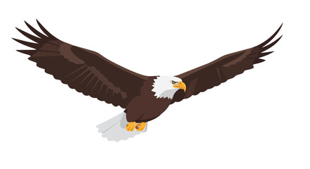 Obraz premium Majestic bald eagle soaring with widespread wings against a pristine white backdrop, embodying freedom and powerful flight, a symbol of wild spirit