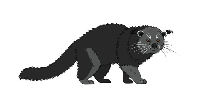 A whimsical cartoon depiction of a binturong, a fascinating mammal with a long bushy tail and distinct facial markings on a plain white background