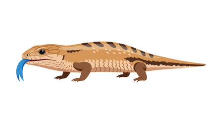 Fototapeta premium A detailed cartoon illustration of a skink lizard with its blue tongue extended against a white background