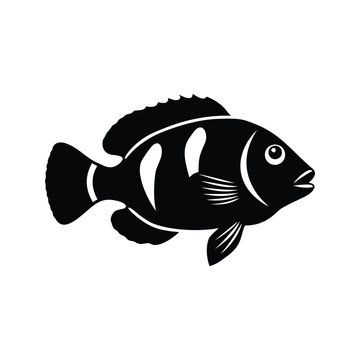 Black and white fish stripes silhouette vector illustration design, archerfish silhouette vector illustration