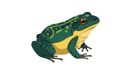 Fototapeta premium A charmingly illustrated amphibian, this green and yellow frog, with its distinct markings and large, expressive eyes, sits poised for action on a