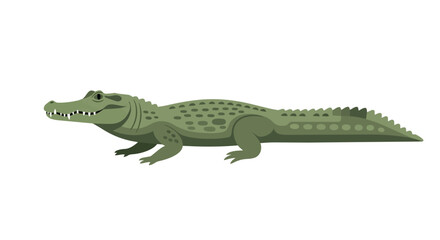Obraz premium A stylized green alligator illustration with visible teeth and a textured body, isolated on a white background, depicting a reptilian creature in a