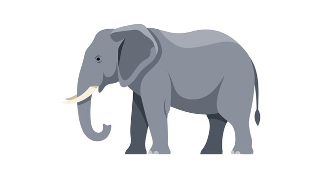 A striking flat illustration of a majestic grey elephant standing with its trunk curled and prominent tusks against a stark white background