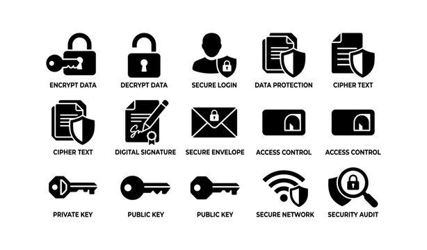 Secure data protection icons: keys, locks, security audit, cipher text, digital signature