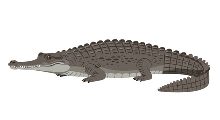 Fototapeta premium Stylized illustration of a crocodile with textured scales and sharp teeth, isolated on a clean white background for graphic design elements