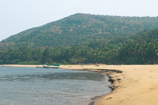 Curved Sandy Beach With Green Hill At Bhogave Beach in Maharashtra, India