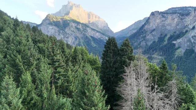 Survole d'une for&ecirc;t et centr&eacute;e sur une cascade qui ressort de la montagne