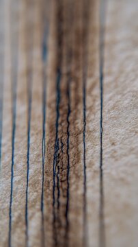 Ink lines following paper grain, macro of ink traveling along vertical fibers, linear texture