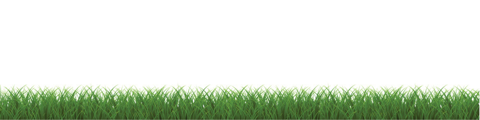 Naklejka premium green grass background