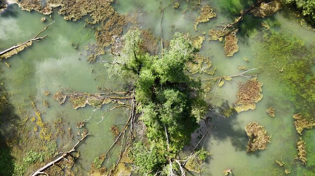 Vue a&eacute;rienne d'une petite &icirc;le au milieu d'un &eacute;tang dans une for&ecirc;t