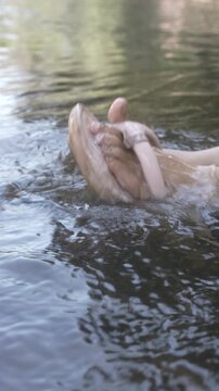 Close-up of a human hand holding a slimy fish just below the water surface in a lake or river, with ripples and soft natural light, outdoor wildlife and fishing concept.