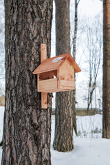 Wooden Bird Feeder Mounted on Pine Tree