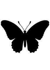 Obraz premium Butterfly Silhouette Vector