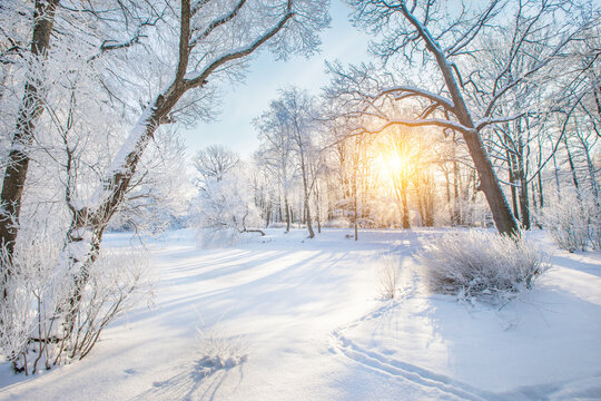 Panorama of beautiful winter park