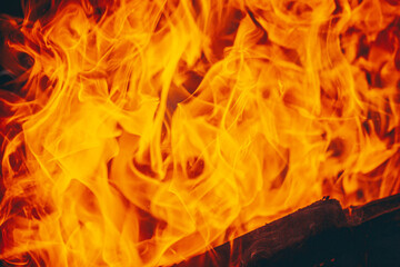 Fototapeta premium Bright fire flames close-up abstract burning background texture