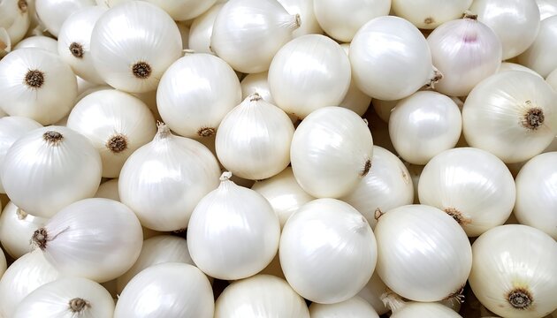 White Onion — Indian export-grade fresh produce