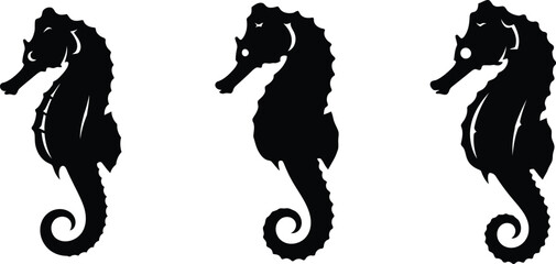 silhouette of seahorses on white background © Saidurra12