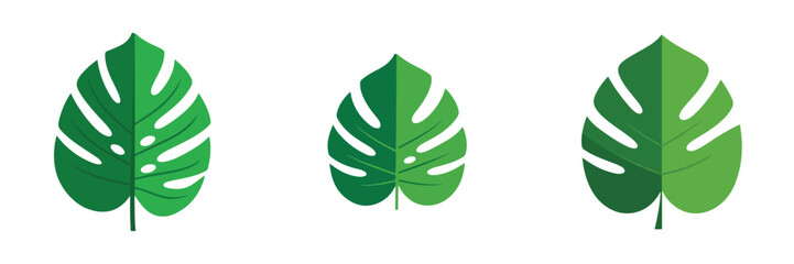 A set of tropical monstera leaf, flat design, single design, vector illustration, plain white background, solid green tones, simple geometric shapes.