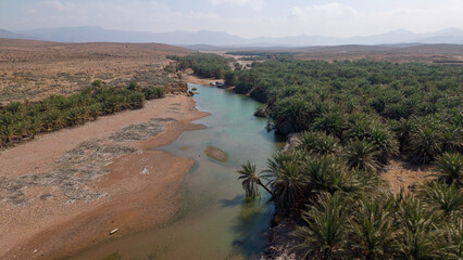 Aerial desert oasis river with palm grove and distant mountains
