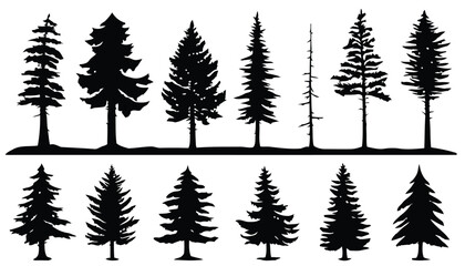 Collection of evergreen coniferous trees silhouettes in different shapes and sizes © Sorifa