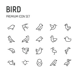 Diverse bird illustrations in outline style, representing various species