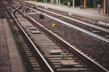 Fototapeta premium Rustic train tracks weave together in a peaceful scene, surrounded by greenery and the gentle hum of nature, capturing the essence of solitude at dawn
