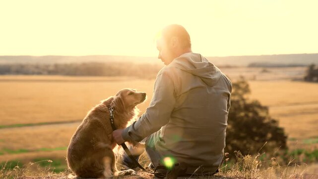 Cocker spaniel dog gives paw and rolls over playing with man owner in country field at sunset man trains smart ginger dog resting in summer park man strokes tummy of fluffy spaniel dog in dusk field