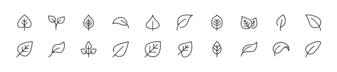 Leaf icons set with different shapes and types representing nature plants and growth