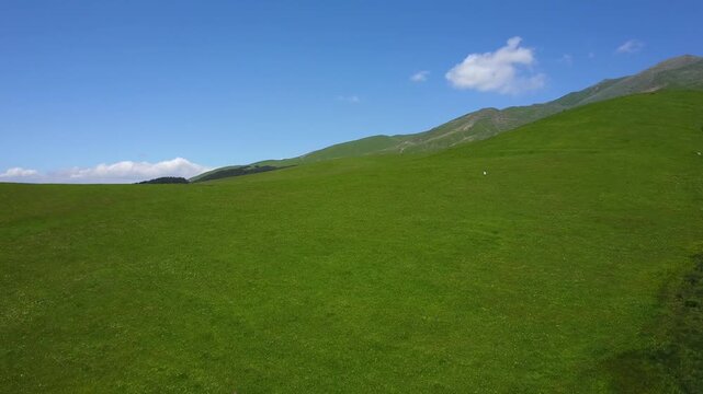 Aerial drone shot of a vast, vibrant green mountain slope under a clear blue sky with white clouds. A tiny figure walks in the distance. Beautiful summer landscape.