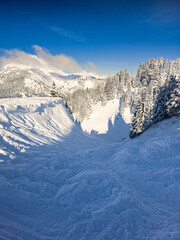 Fototapeta premium off piste ski valley