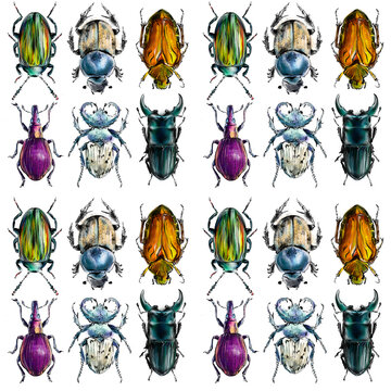 seamless pattern with hand drawn exotic beatles, drawing of colorful decorative bugs, digital Illustration 