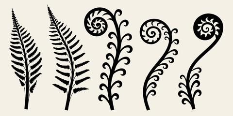 Stylized fern fronds and spirals in a black and white illustration © Dilip