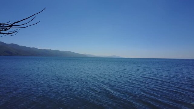 Aerial view of a calm, blue mountain lake. The camera slowly glides past a dead tree stump in the water, revealing a vast, peaceful landscape with distant mountains.