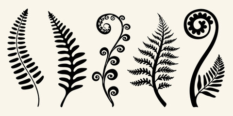 Stylized black ferns and fern fronds arranged on a neutral background © SagoriRani