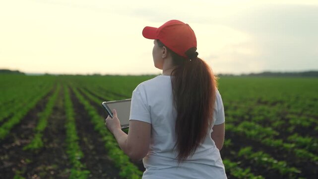 Agriculture, Field data collection by woman, Digital survey on crops, Smart tech in rural field, Female innovator in agriculture, Plantation tech inspection, Woman on eco-friendly farm, High-tech