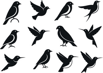 Fototapeta premium Collection of diverse bird silhouettes in various poses: perched, flying, singing. Ideal for graphic design and icons.