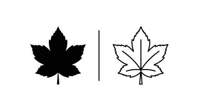 Maple leaf design comparison, canada symbol, vector illustration, minimalist art Vector