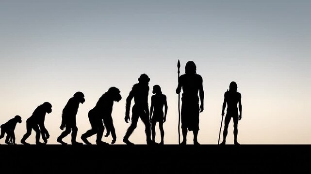 Silhouettes showing human evolution from ape to early man