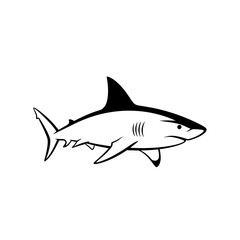 Fototapeta premium Black and white shark drawing isolated.