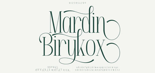 Modern and Elegant Fonts. Beauty Luxury font alphabet logo. Typography beautiful fashion elegant classic letters serif italic fonts decorative wedding vintage blossom logos. vector illustration © Brand_Studio