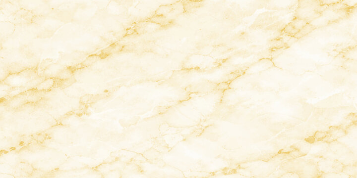 A closeup of fresh ingredients for healthy homemade cooking featuring an abstract background texture of white flour and eggs with milk and yellow cheese for a sweet breakfast meal